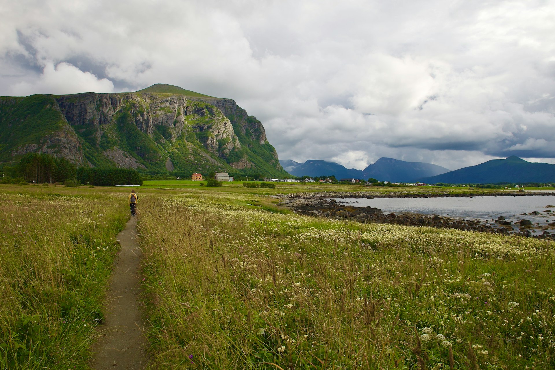 a person walking down a path in a field